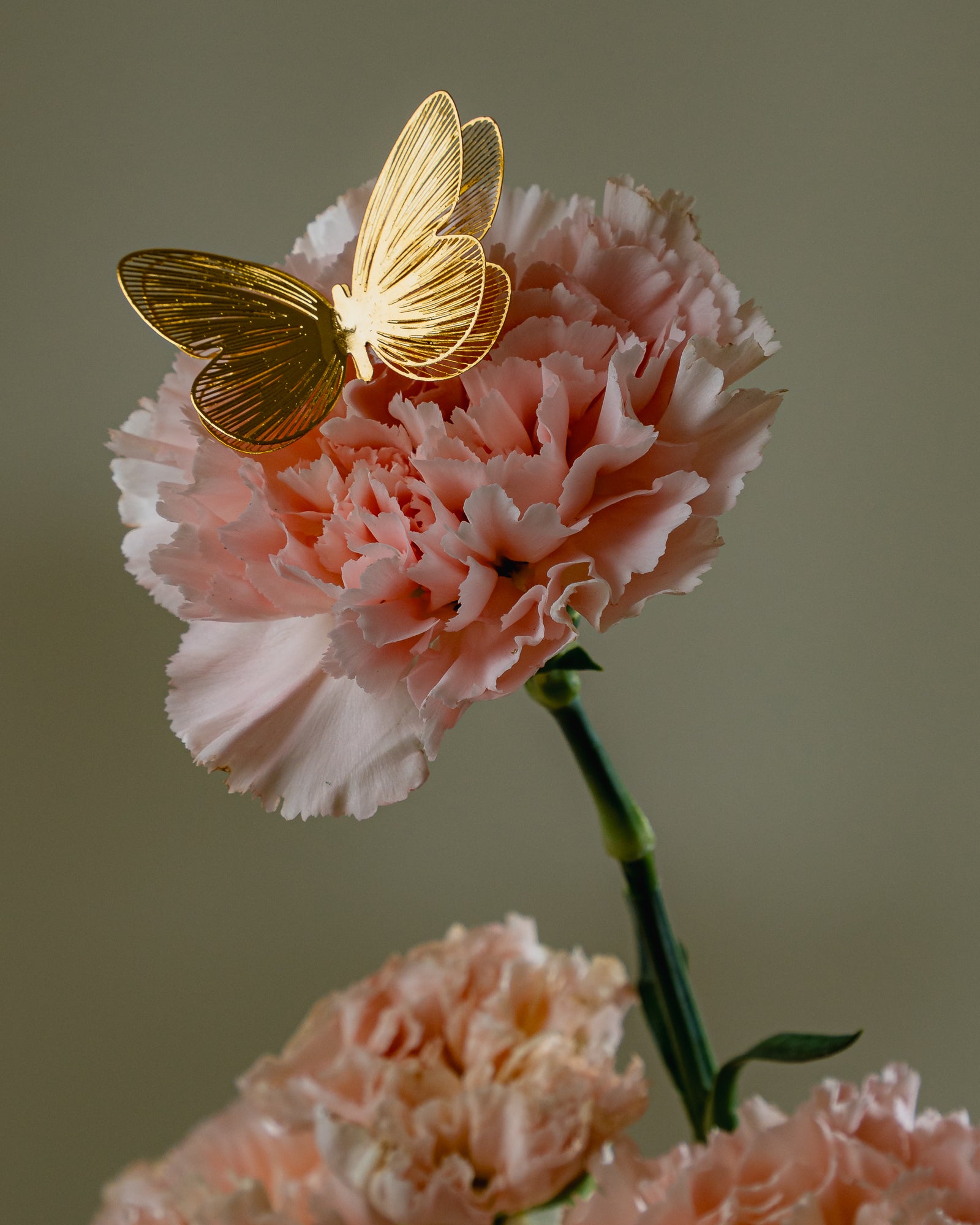 Blush Carnations and Golden Butterflies