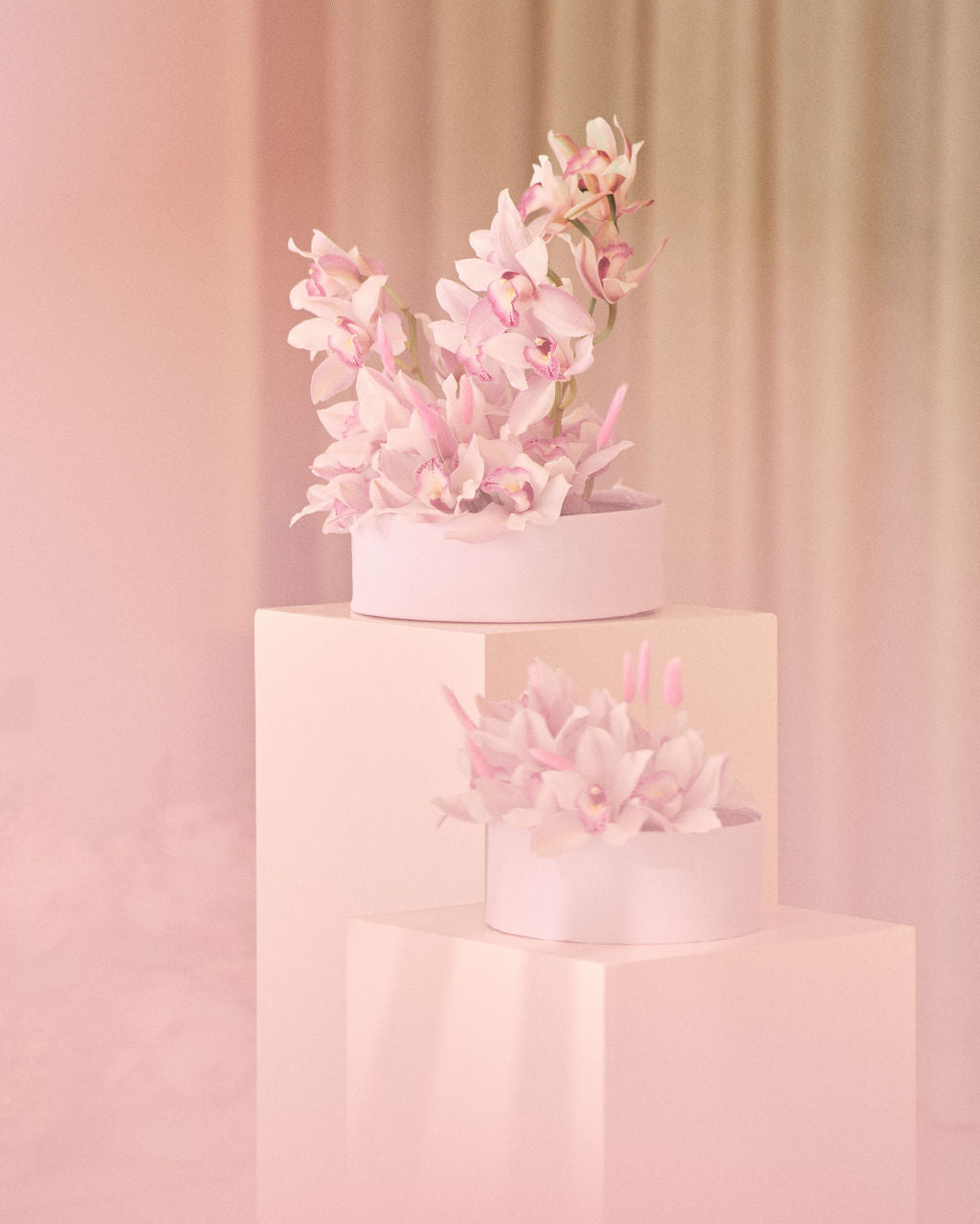Blush Petals