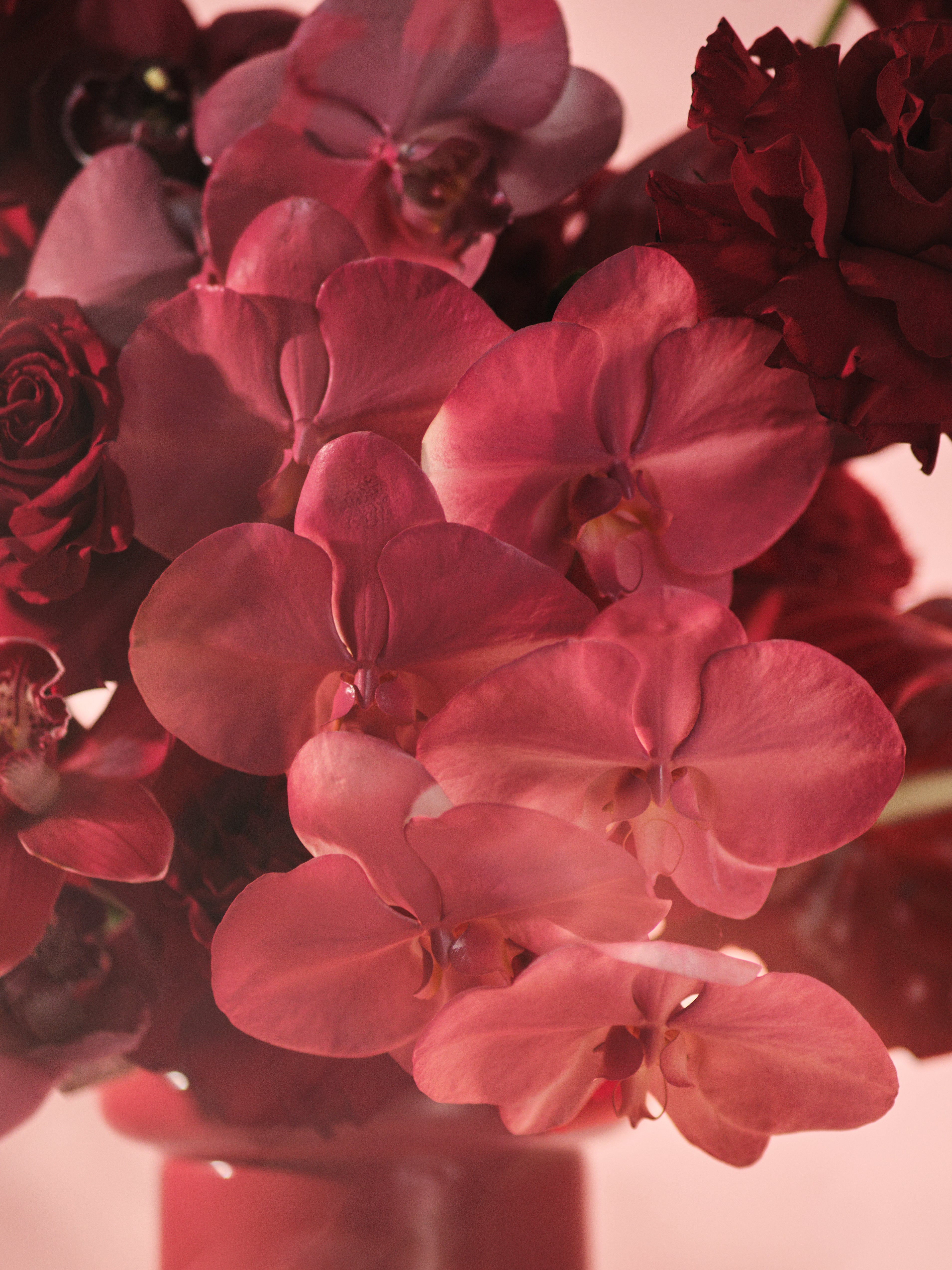 Rubra Vase Arrangement 01