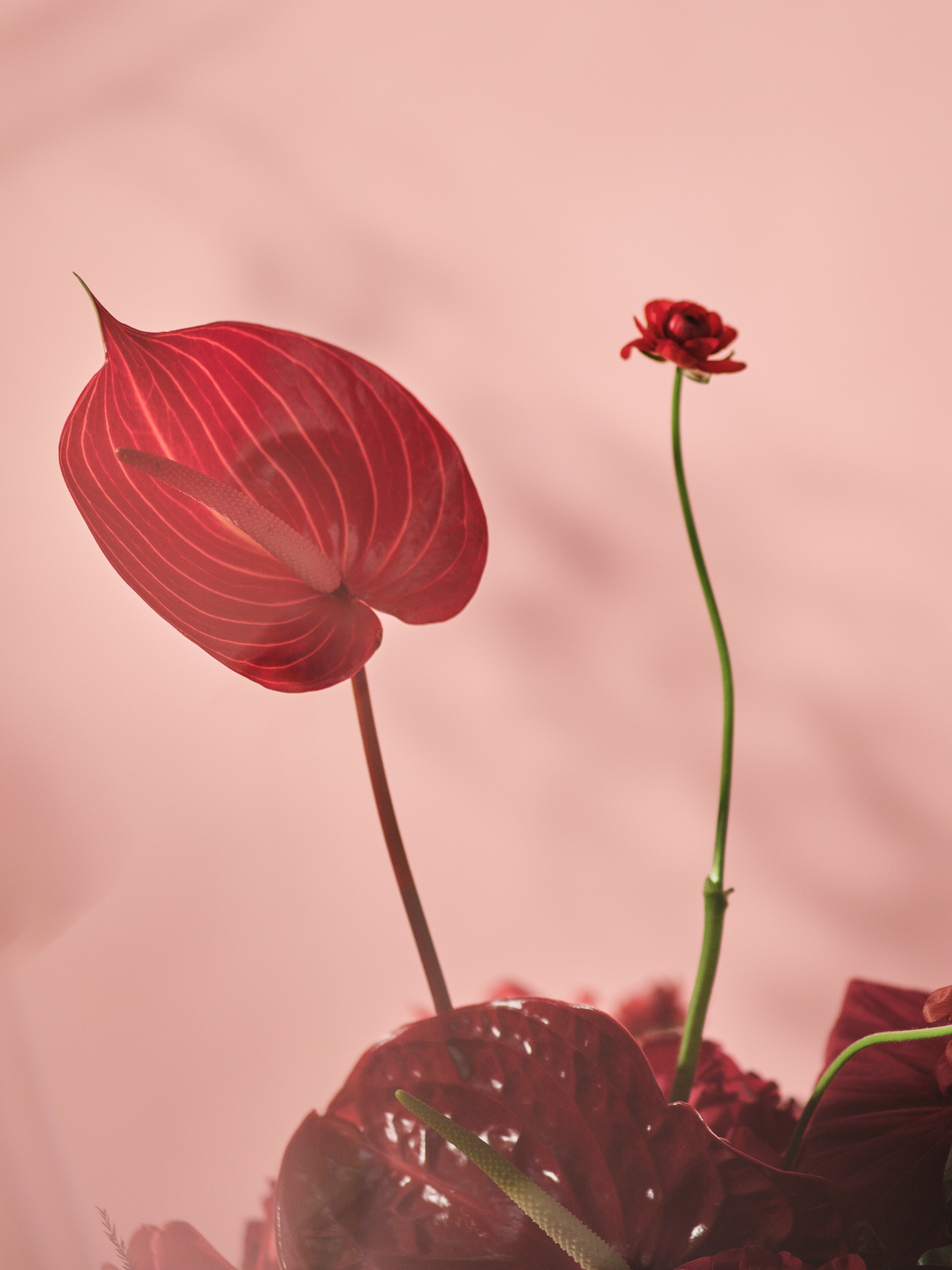 Rubra Centrepiece 03