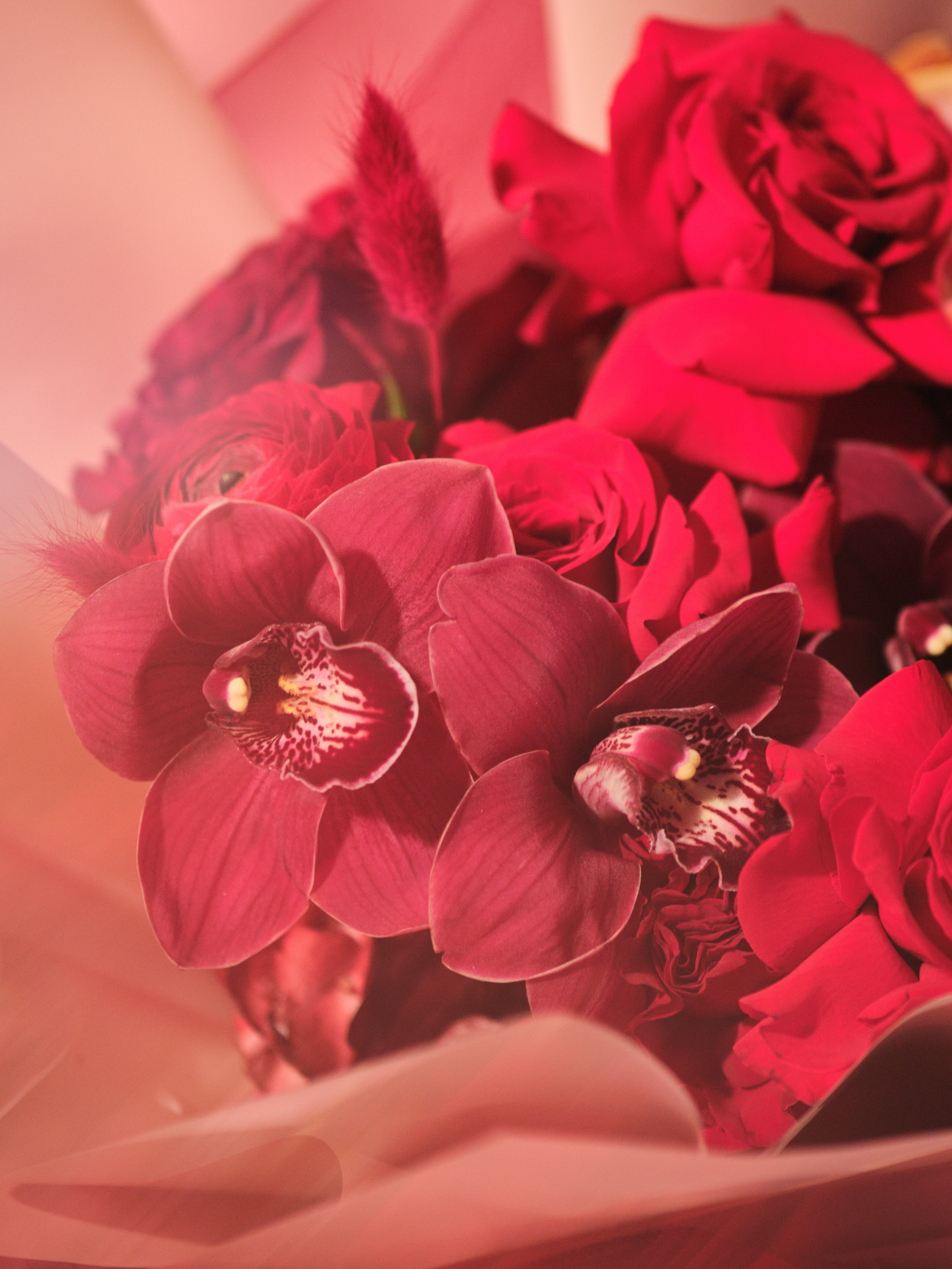 Rubra Bouquet 03