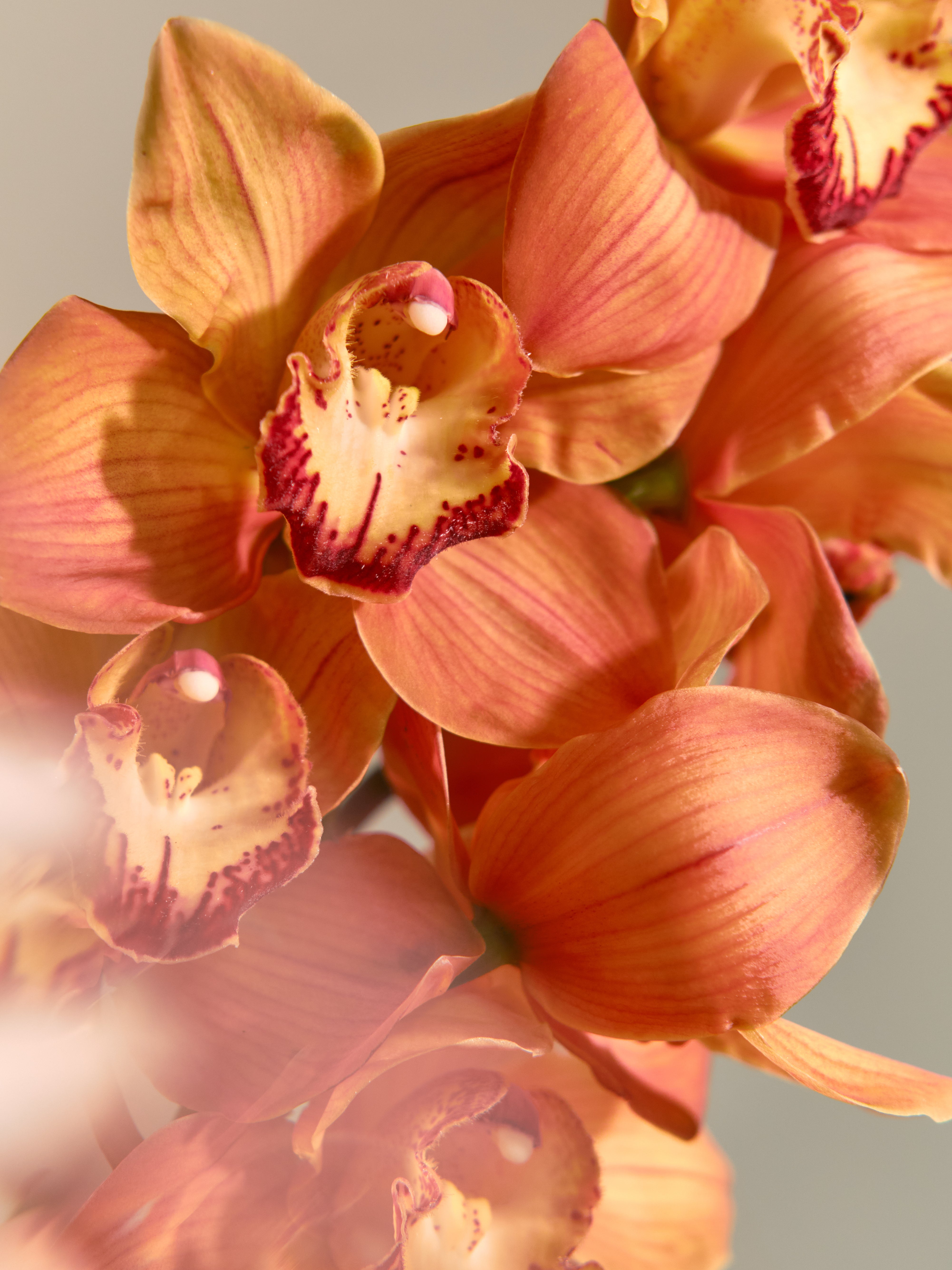 Vase 03 Autumn Blooms
