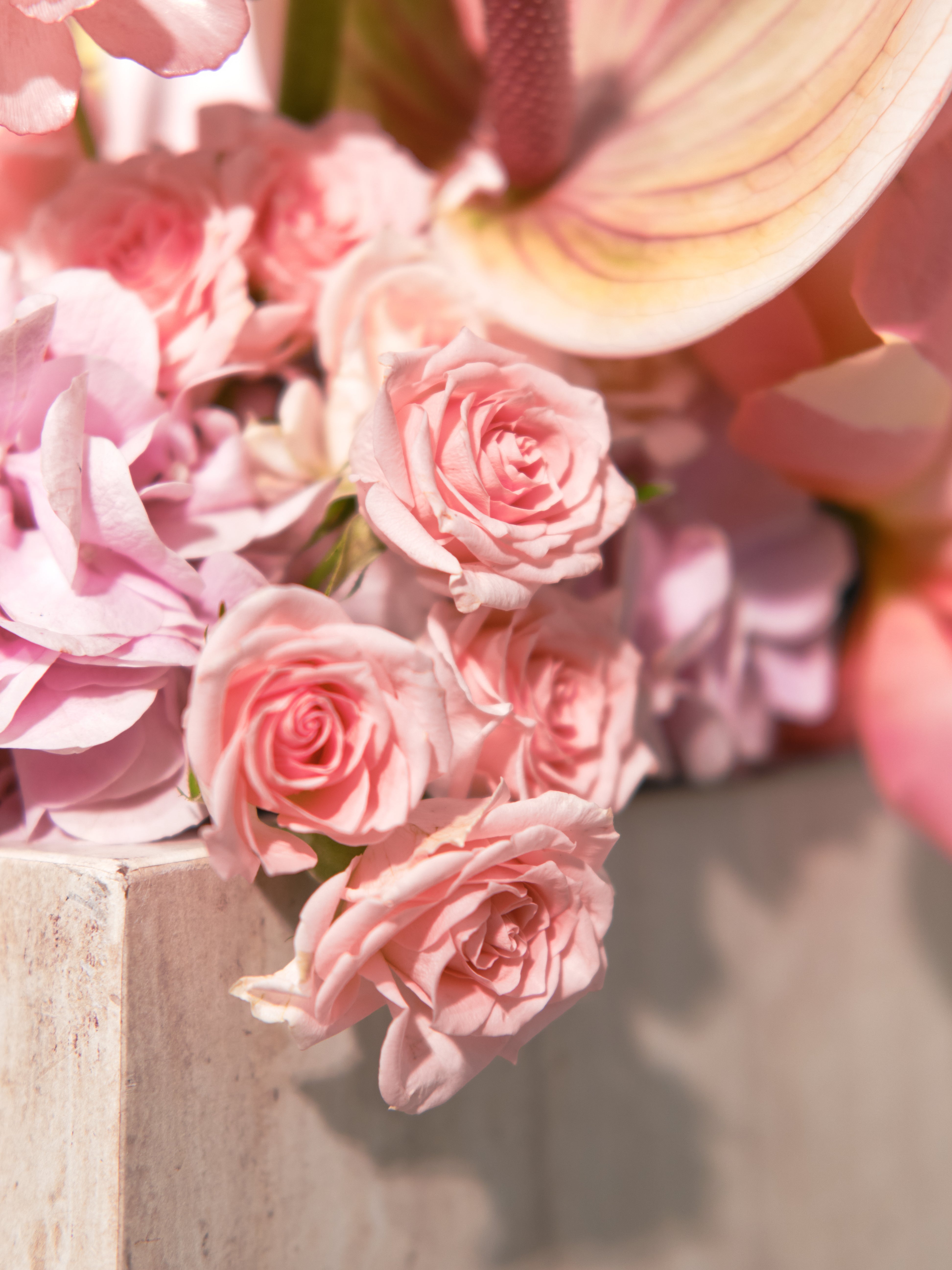 Gifting 02 Summer Blooms Tray