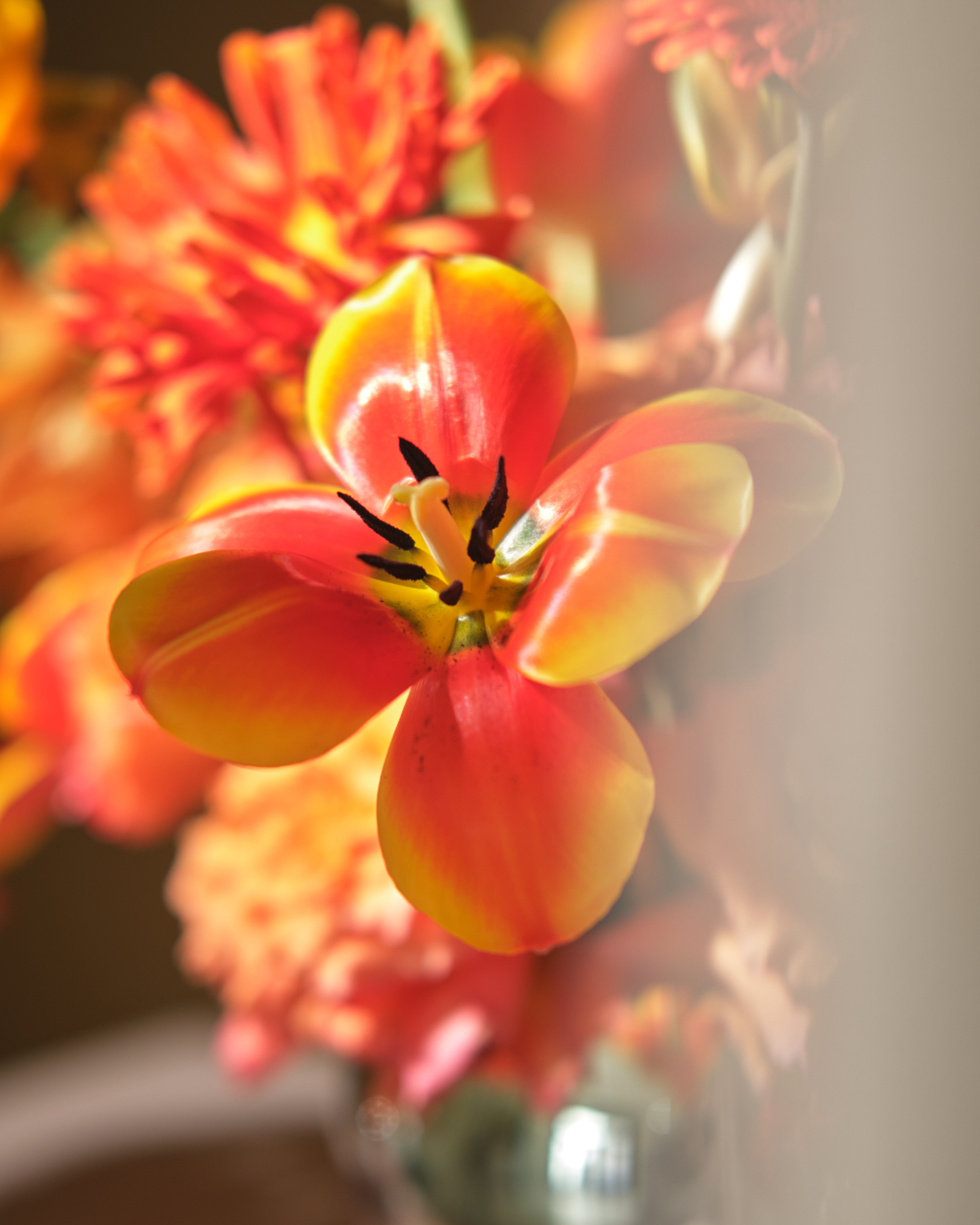 Sunset Floral Centrepieces