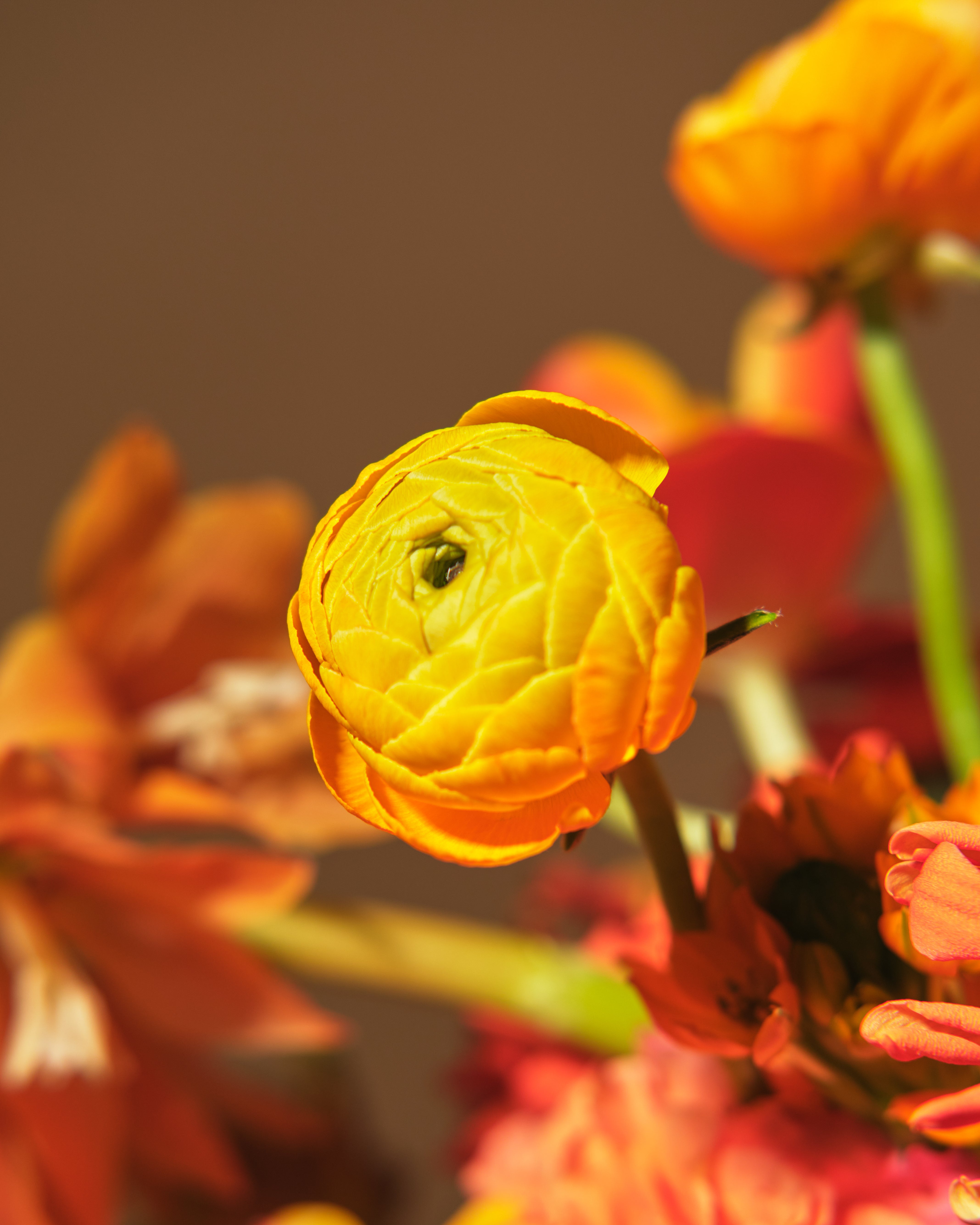 Sunset Floral Centrepieces