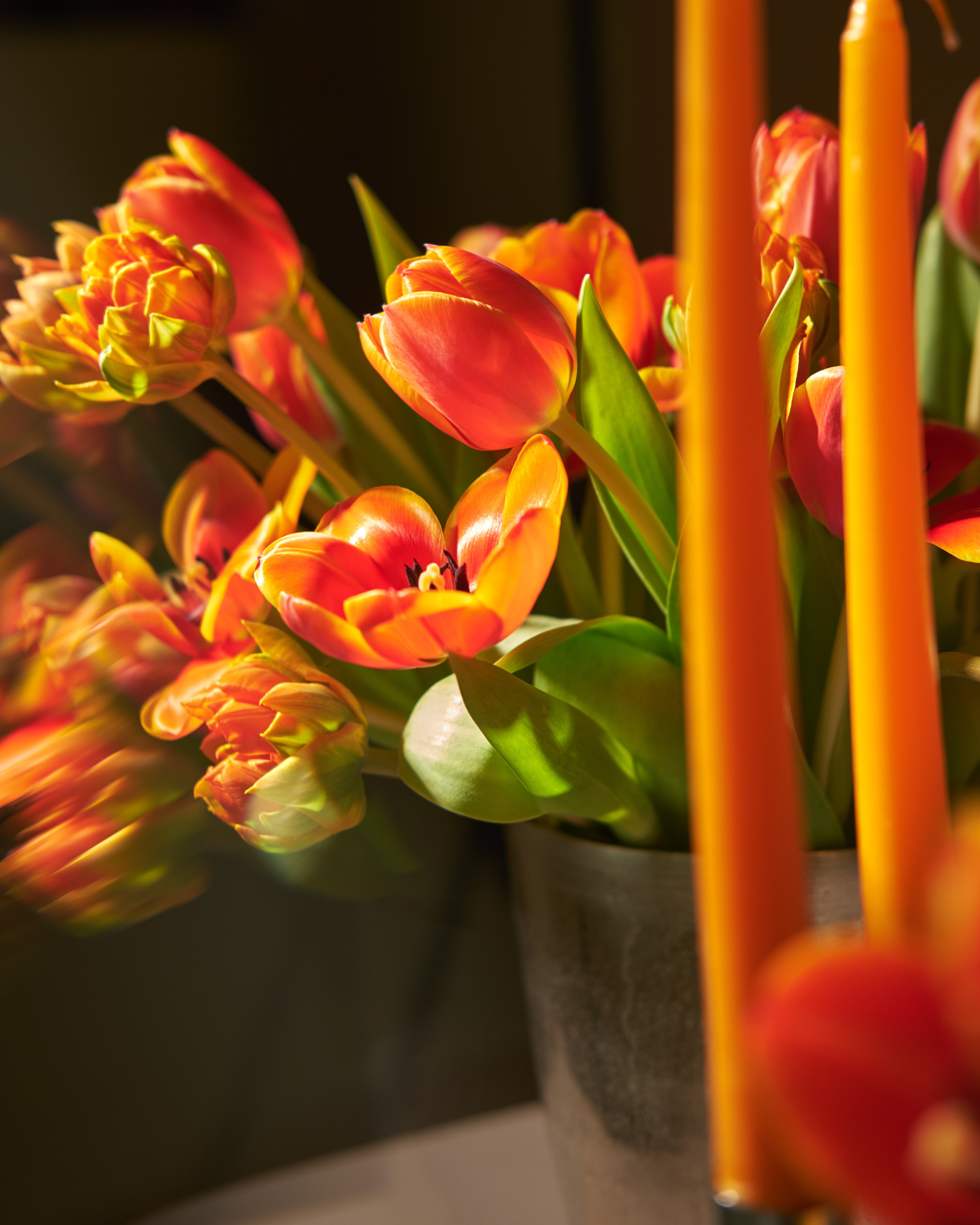 Sunset Tulips Floral Centrepieces