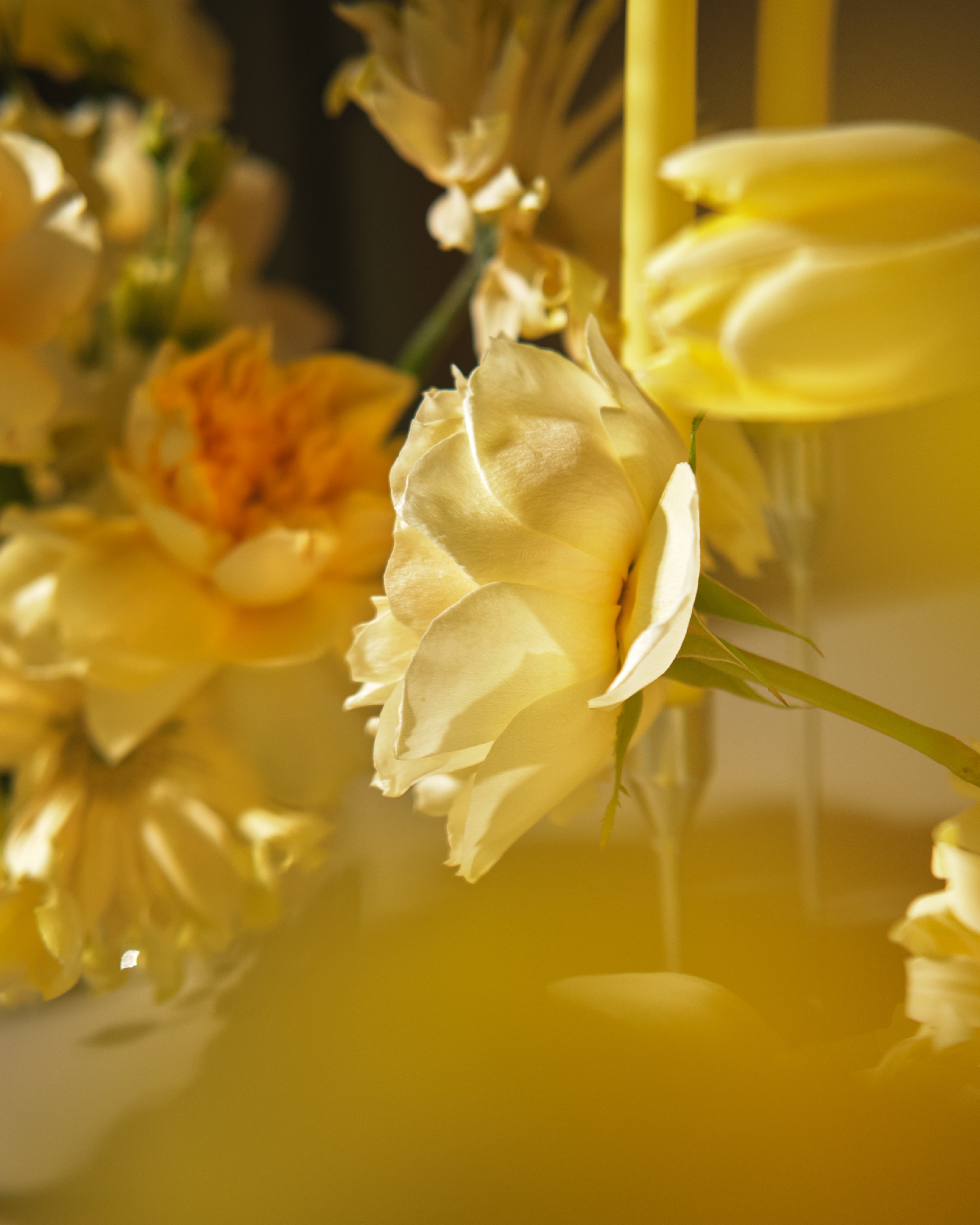 Daylight Floral Centrepieces