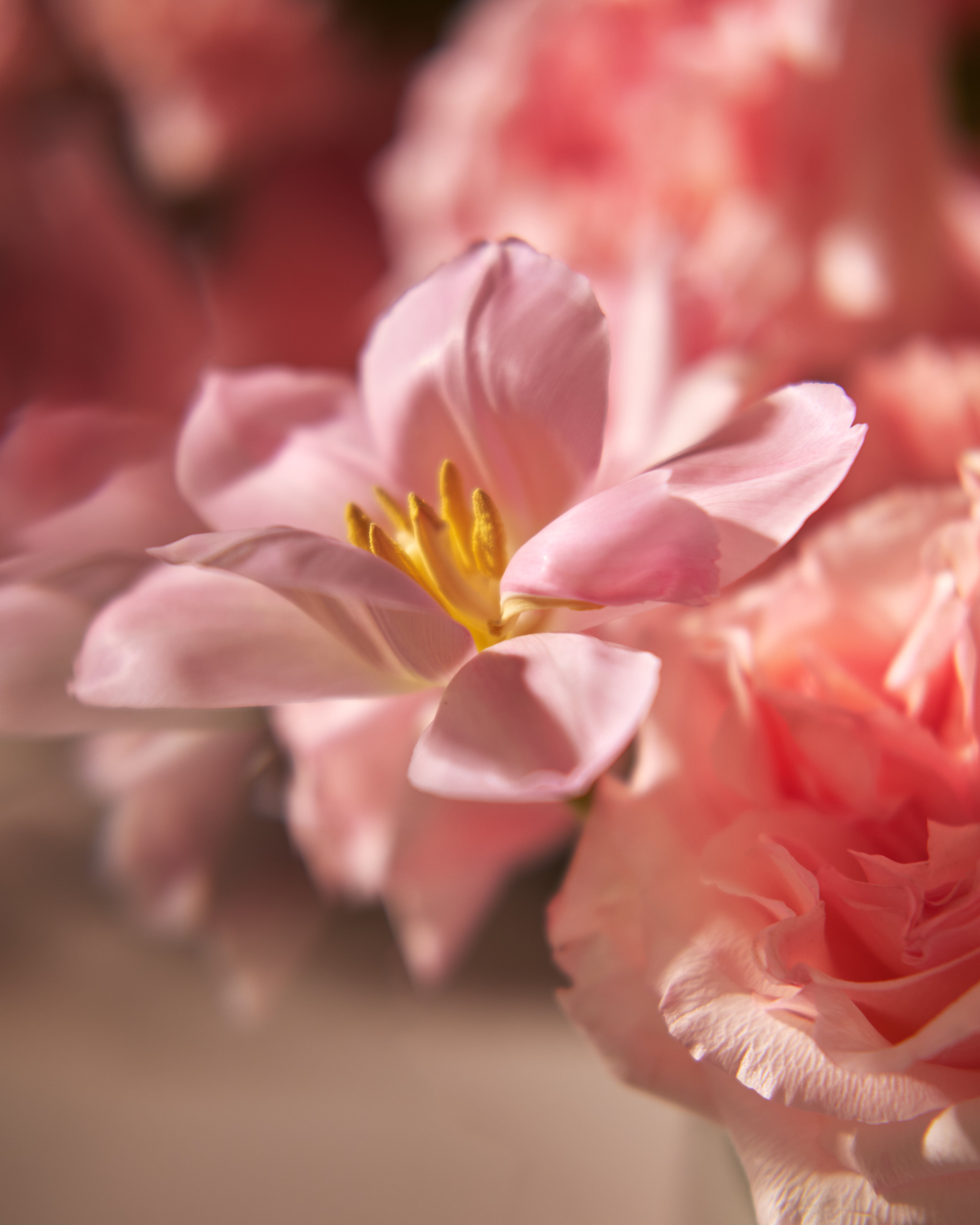 Moonglow Floral Centrepieces