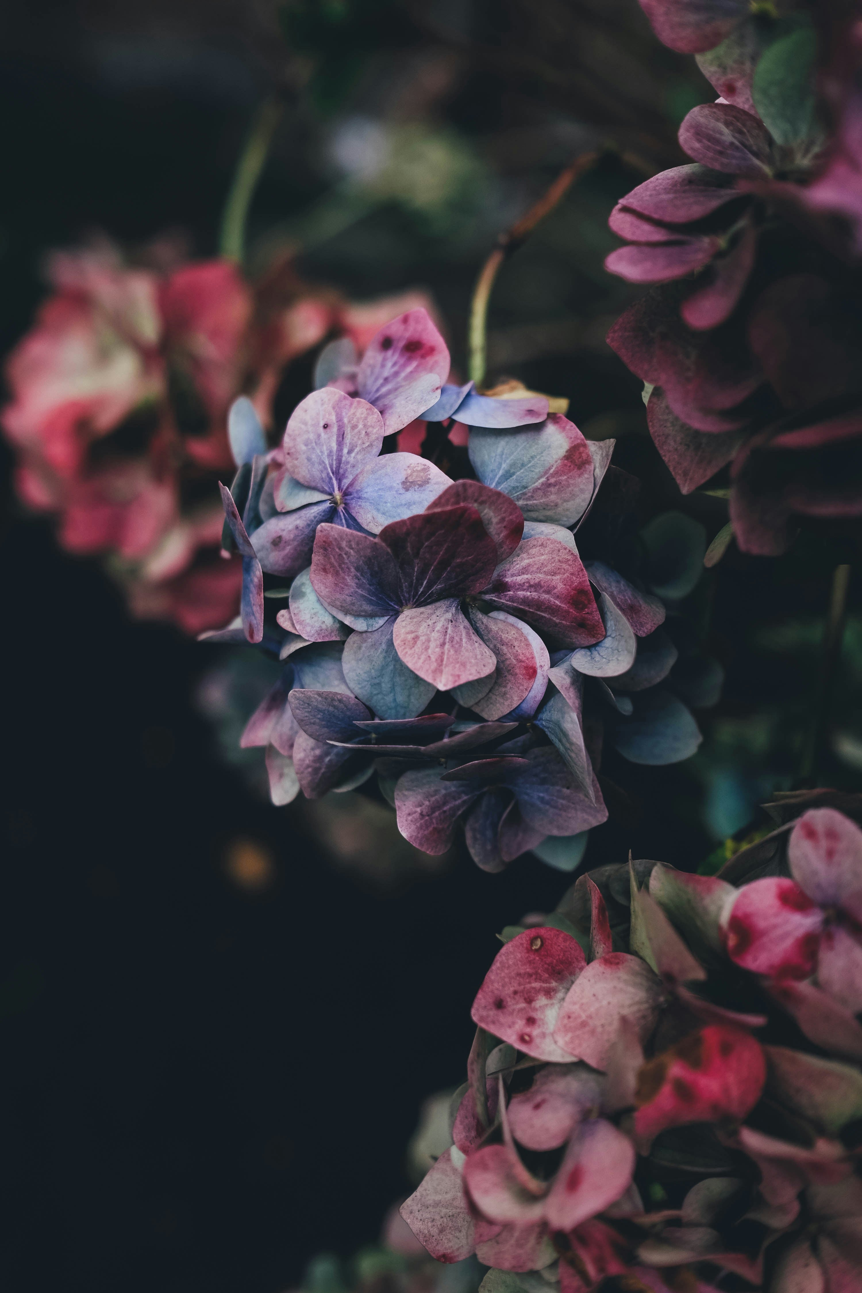 September 19: Monochromatic Floral Arrangement