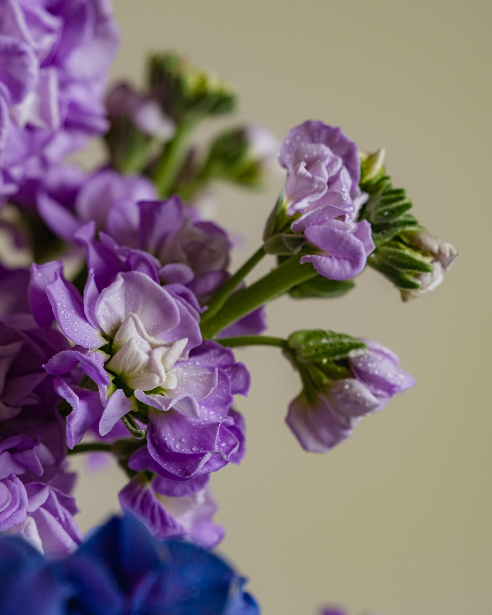 Purple Enchanted Floral Arrangement