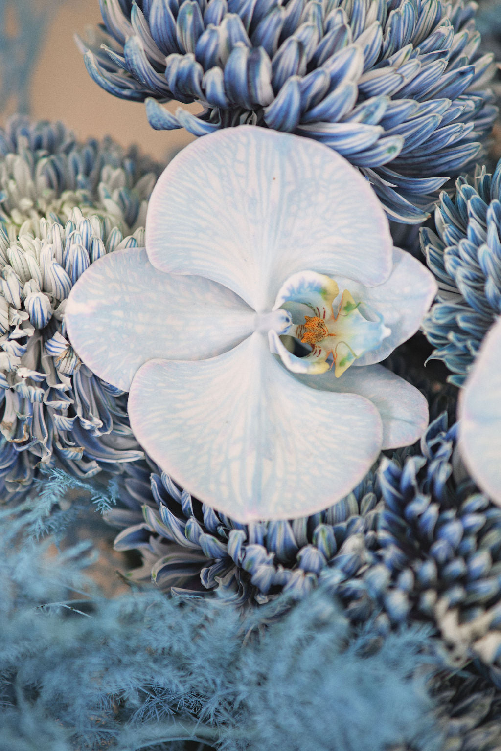 Cloud Blue