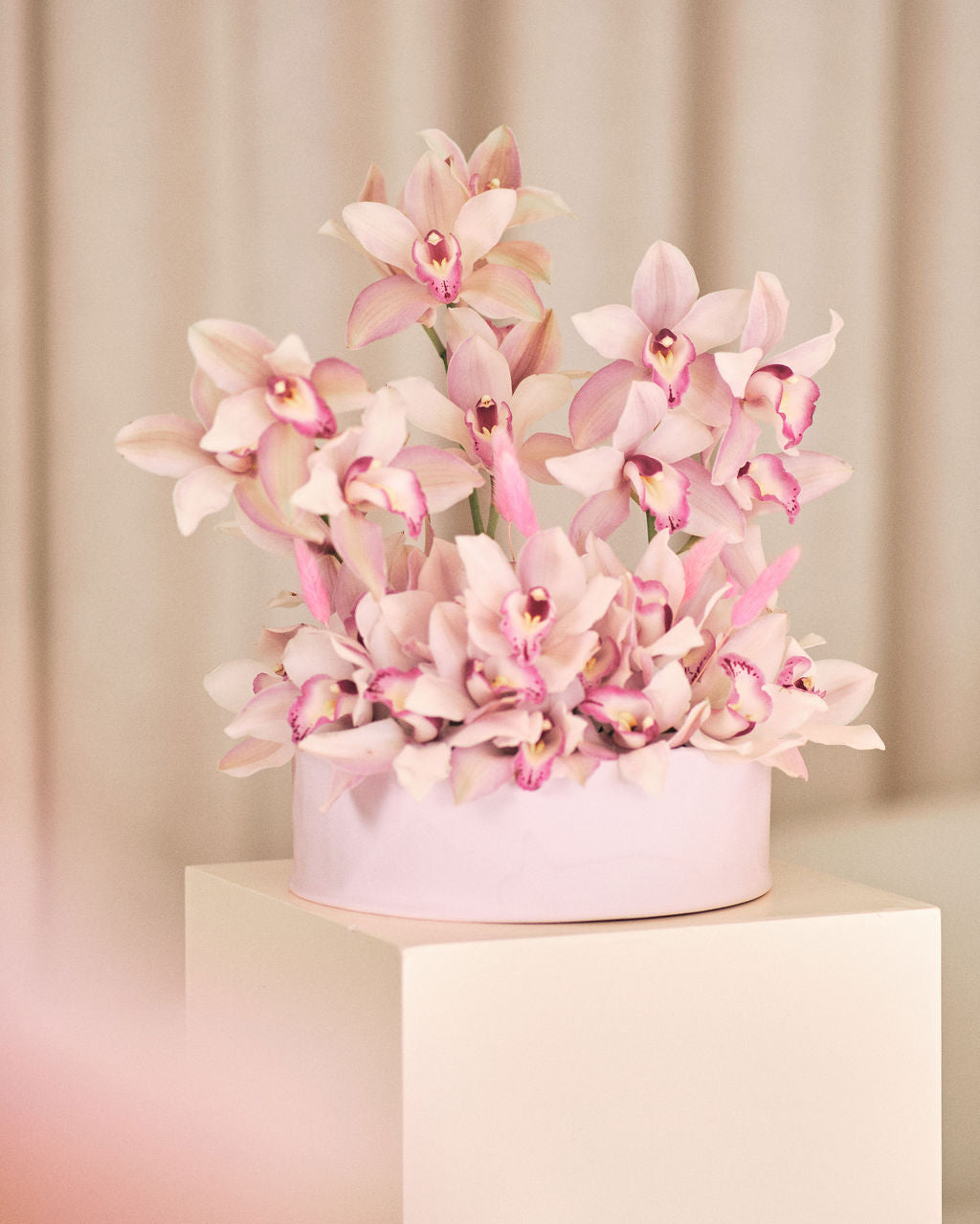 Blush Petals