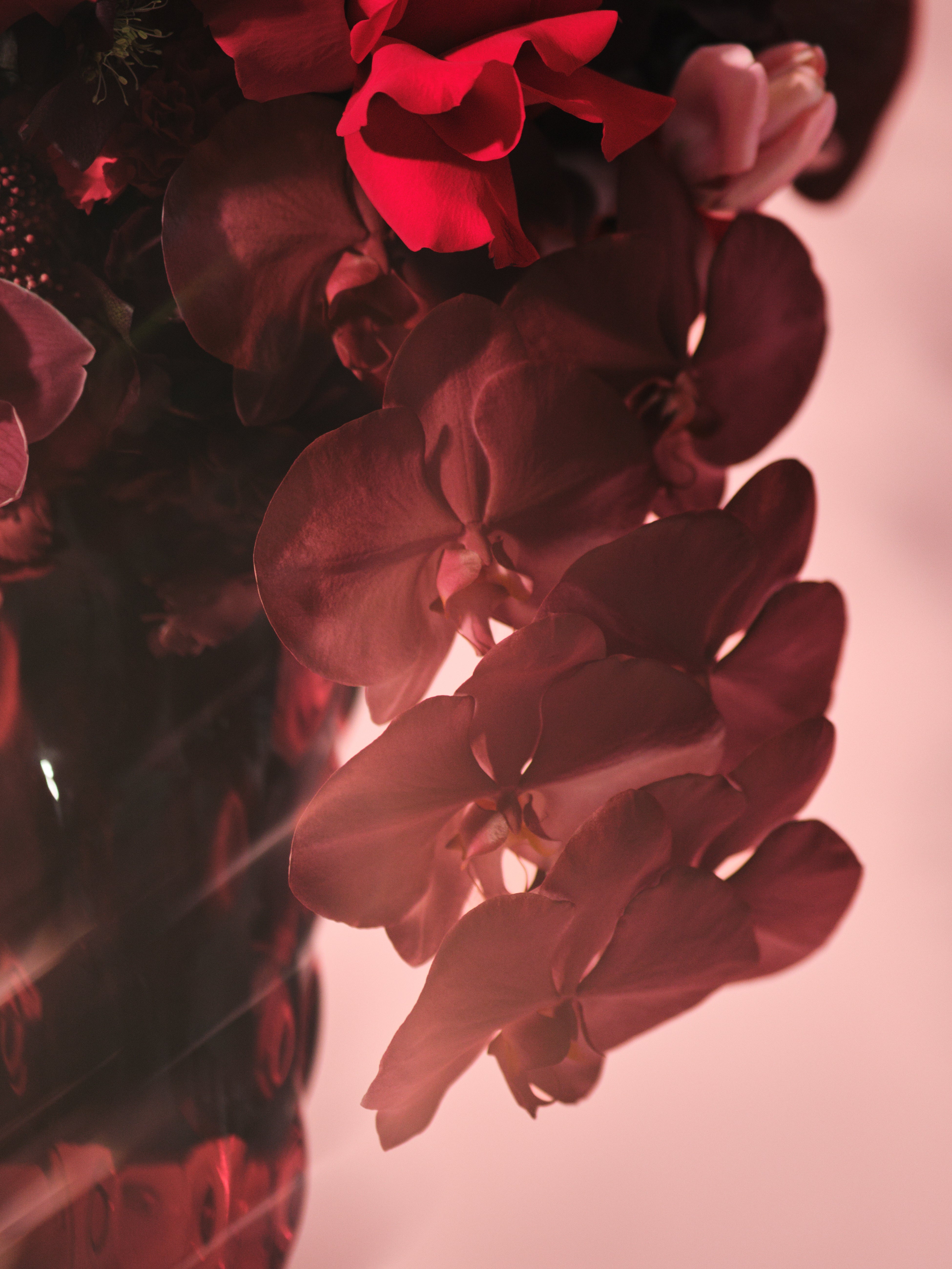 Rubra Vase Arrangement 02