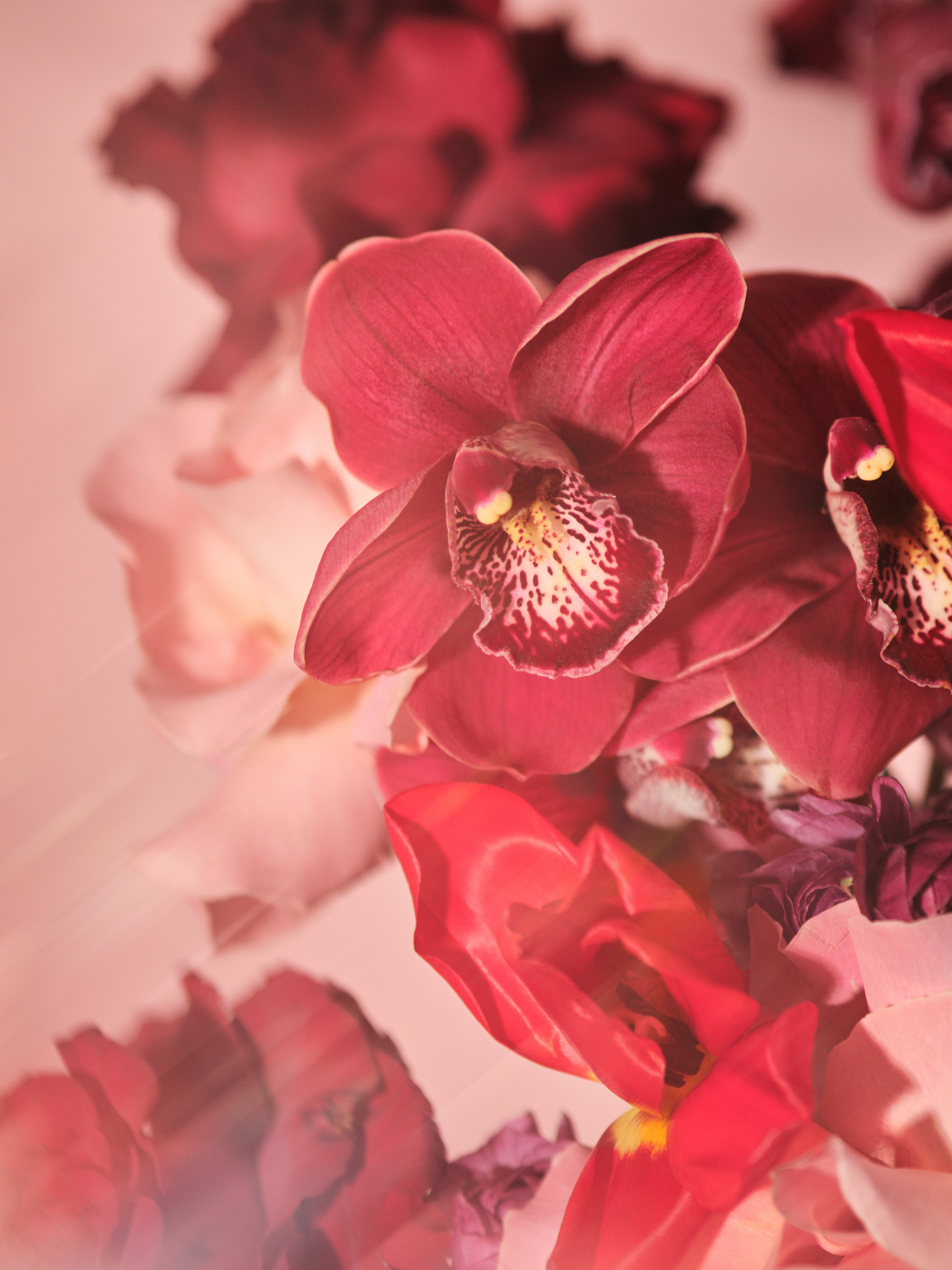 Rubra Vase Arrangement 03