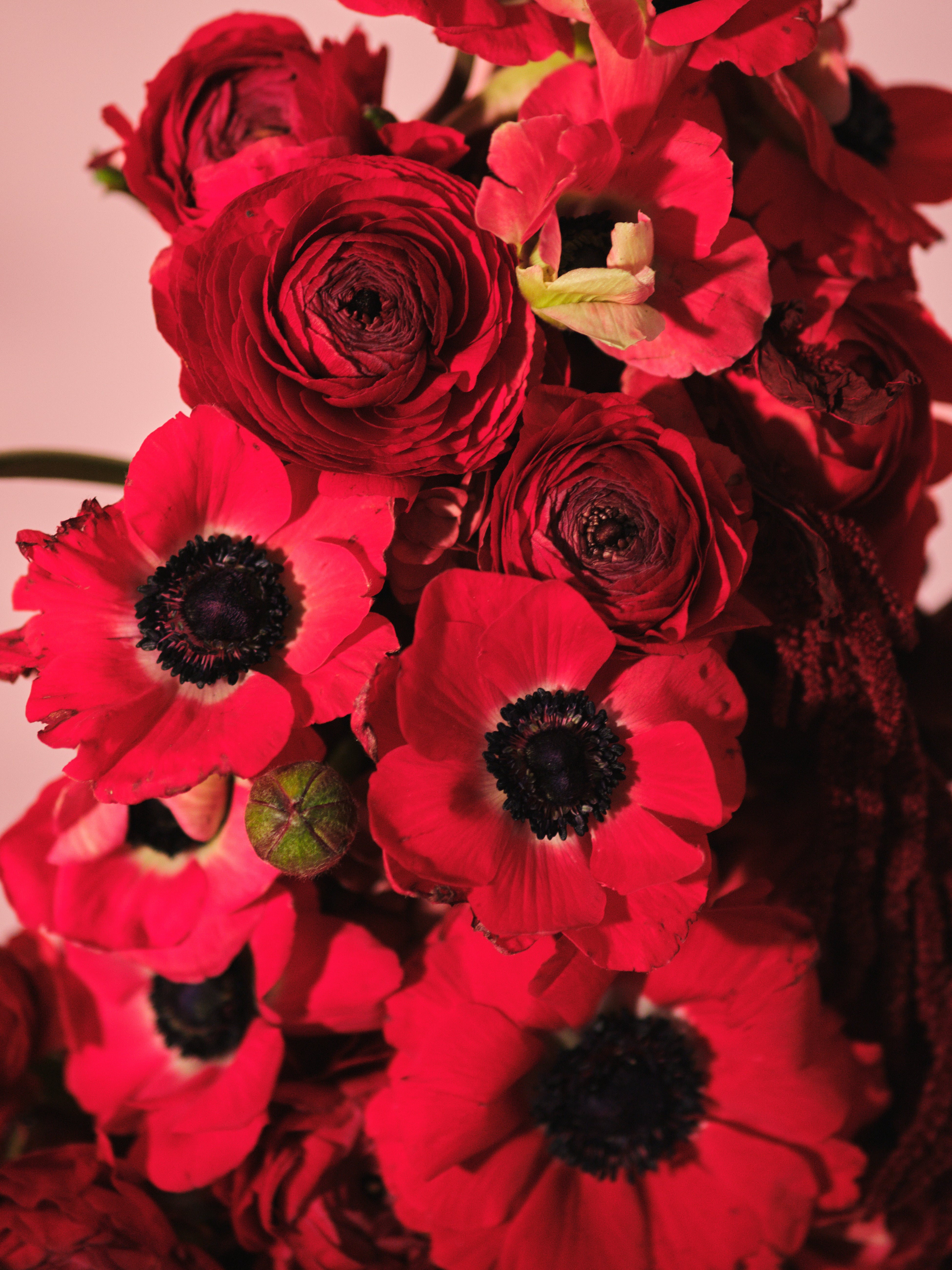 Rubra Centrepiece 01