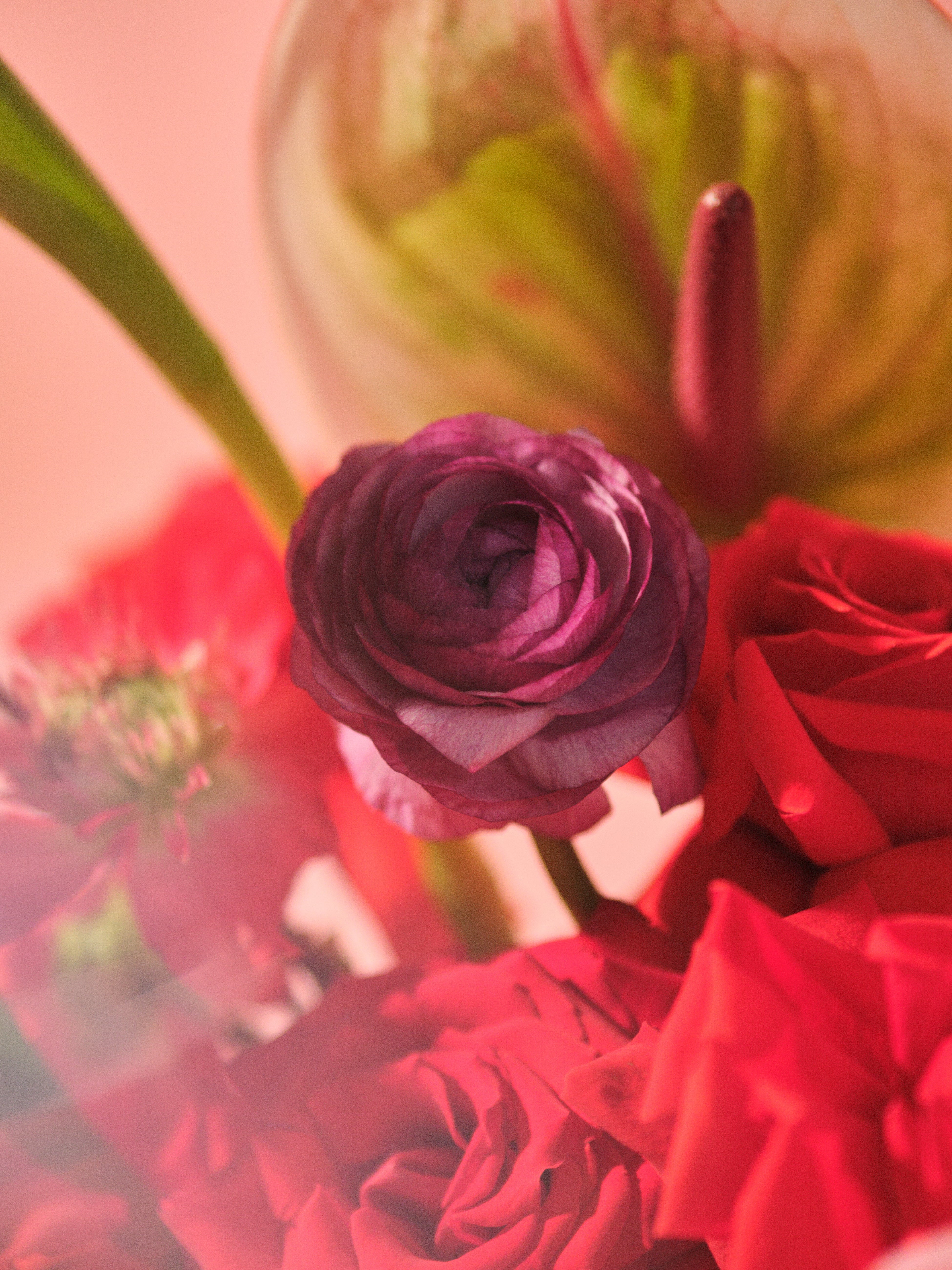 Rubra Centrepiece 02