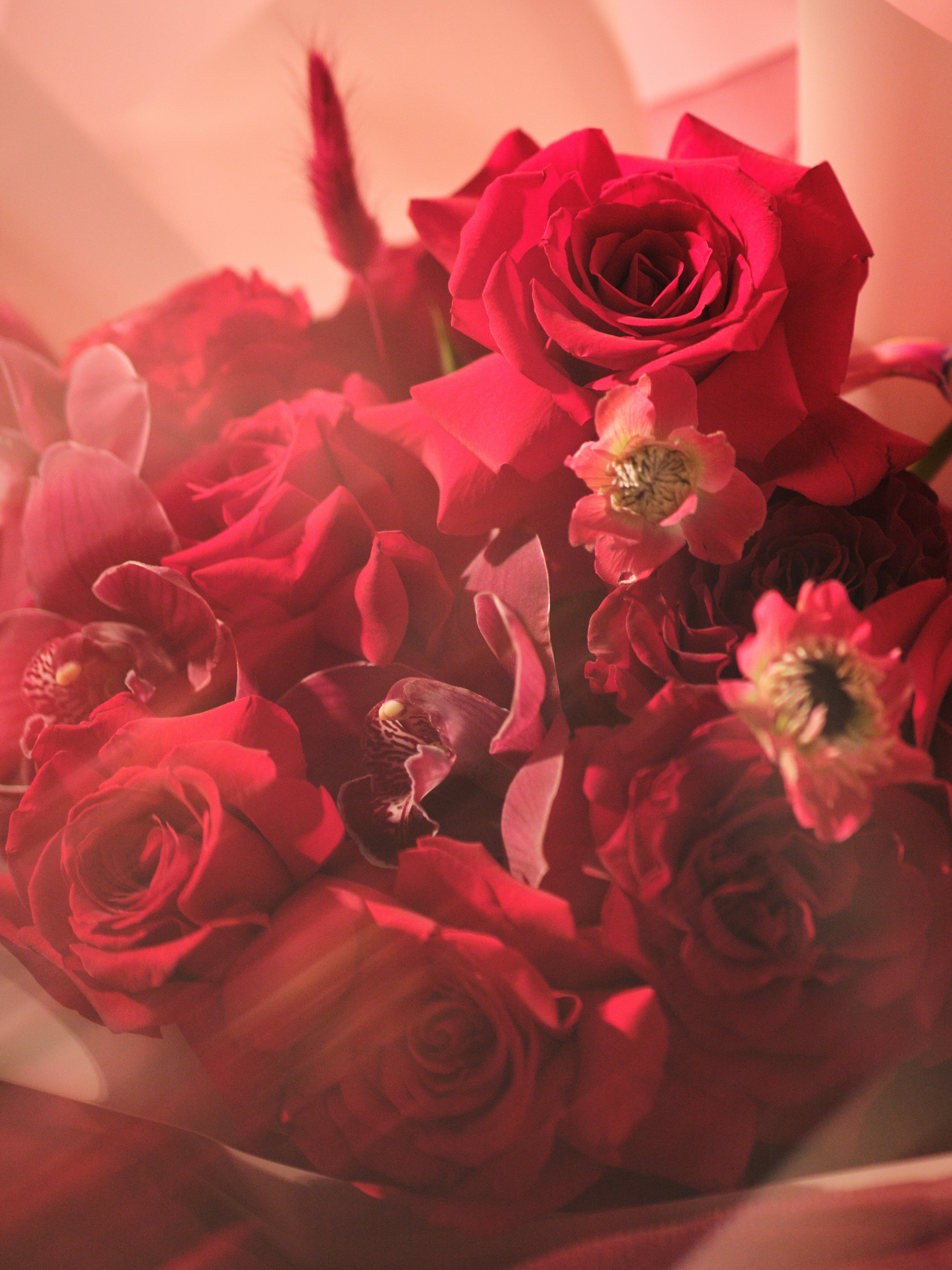 Rubra Bouquet 03