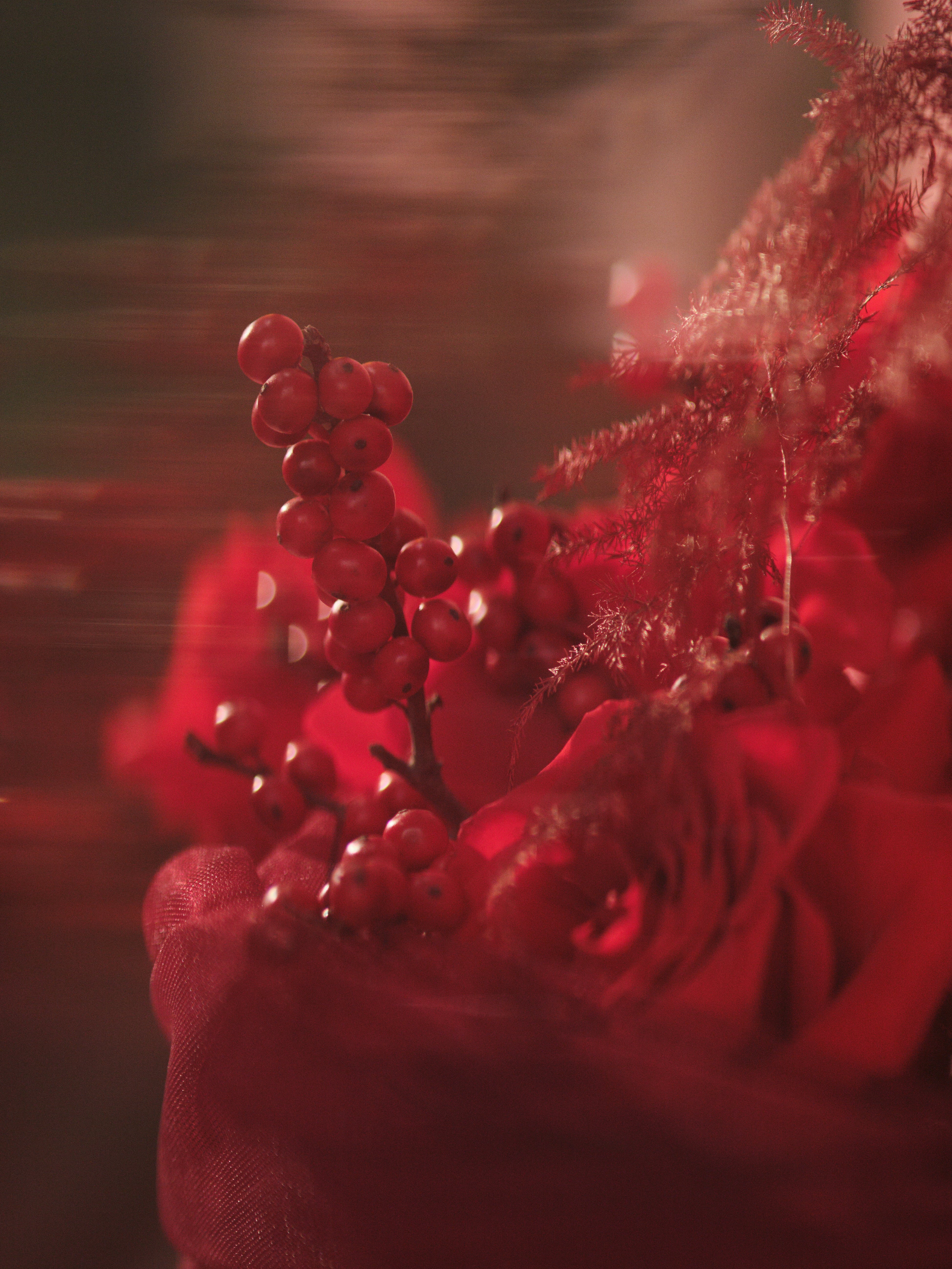 Rubra Bouquet 02