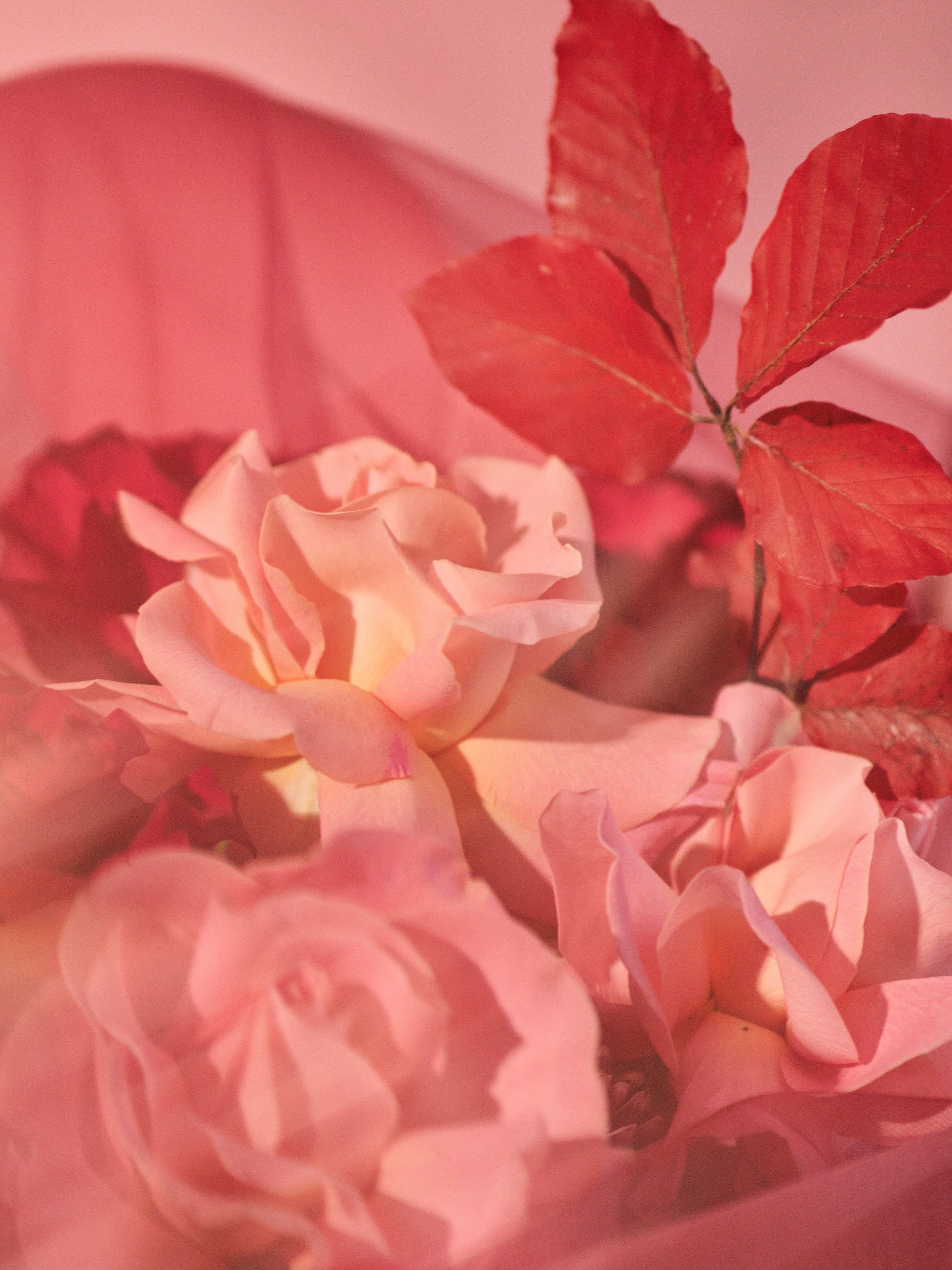 Rubra Bouquet 01
