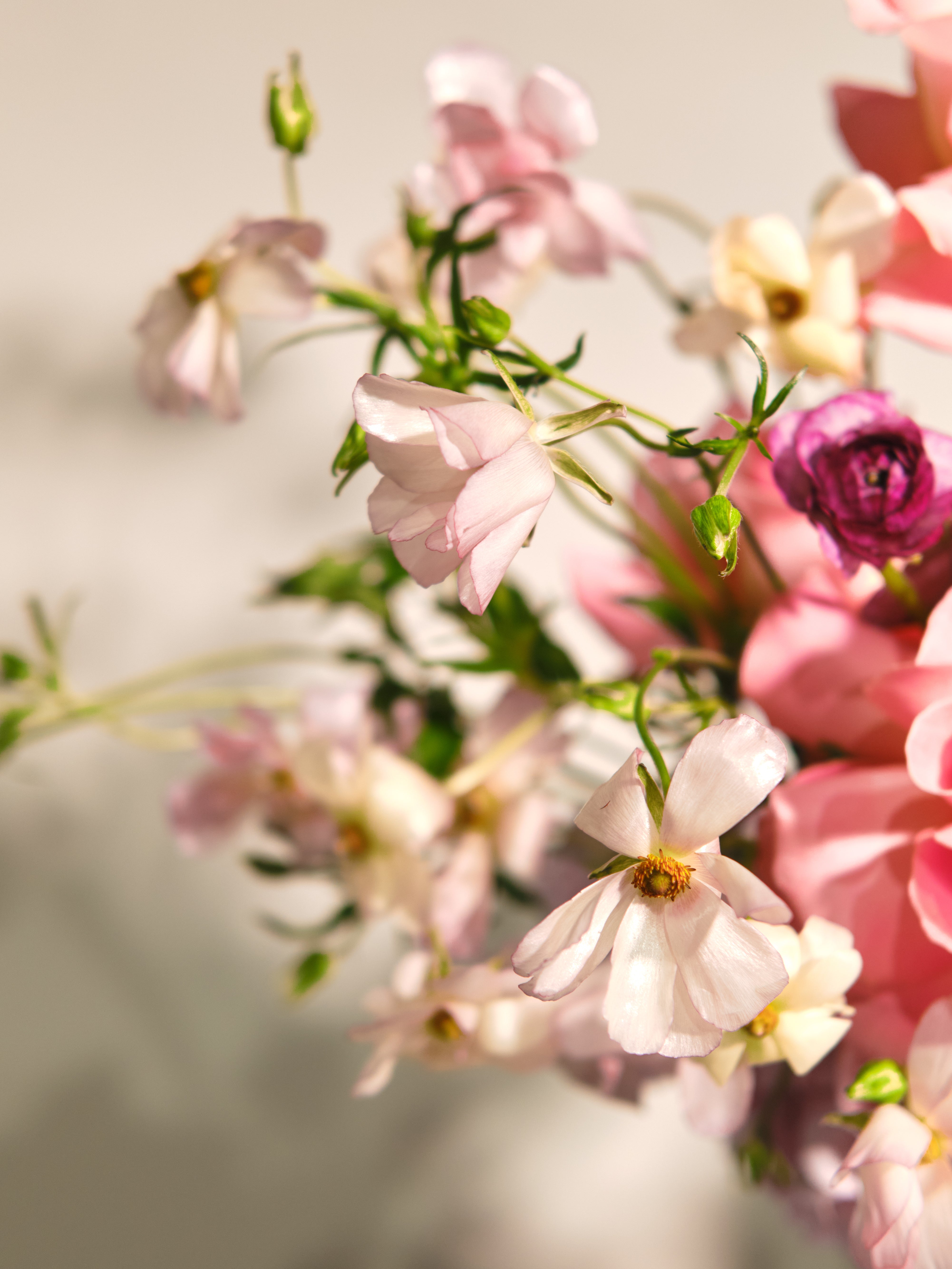 Vase 02 Summer Blooms