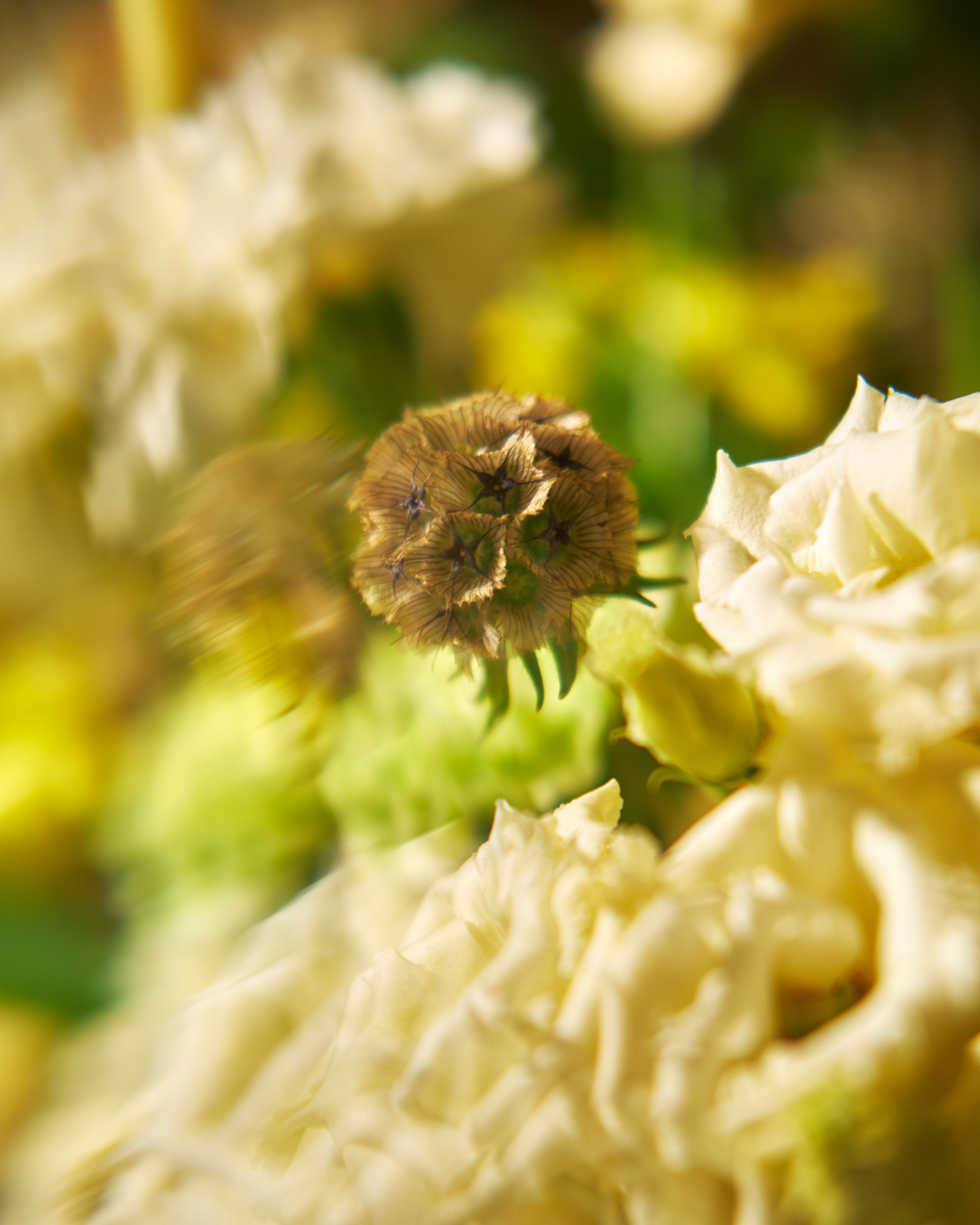 Daylight Mix Yellow Floral Centrepieces