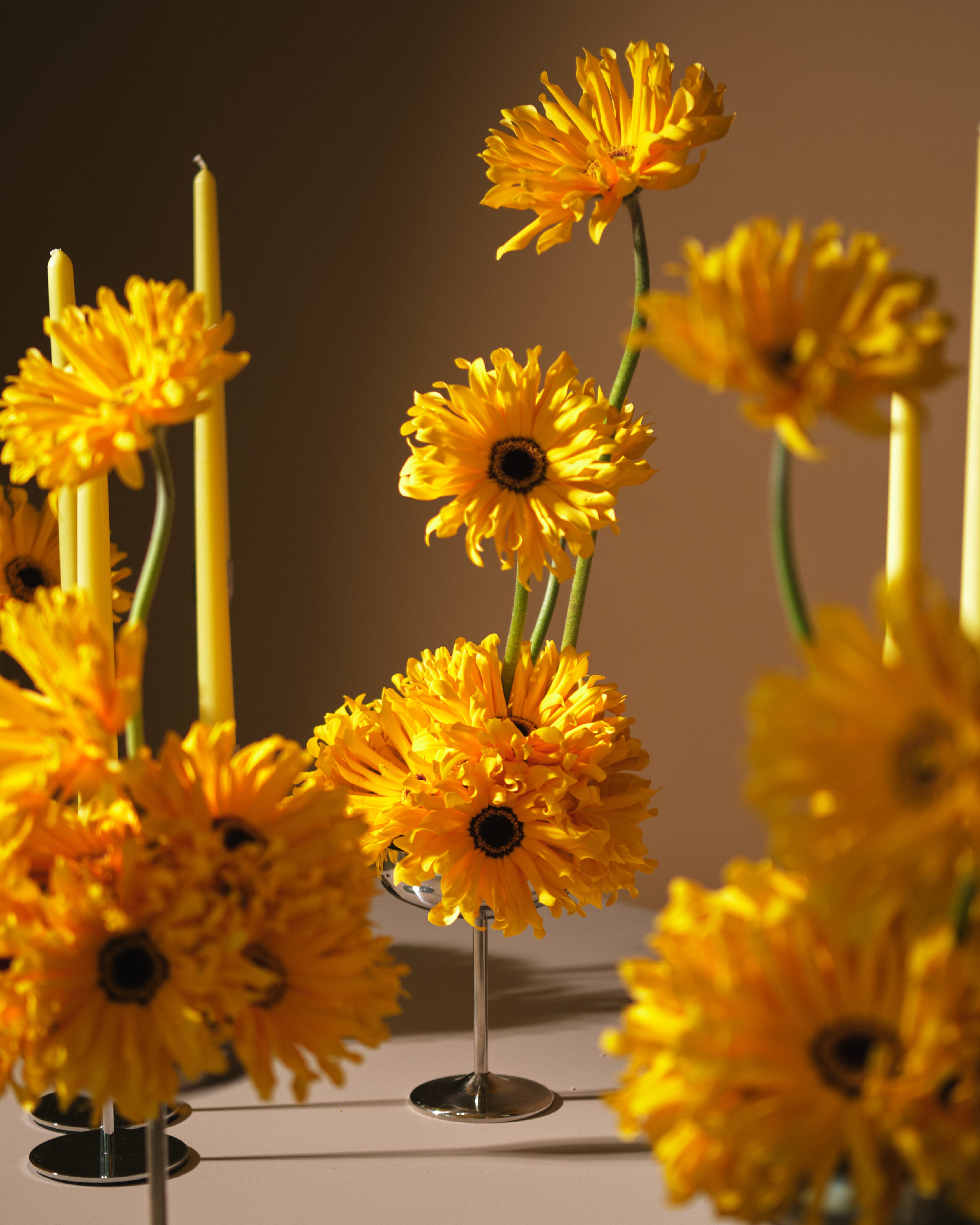 Daylight Gerbera Floral Centrepieces