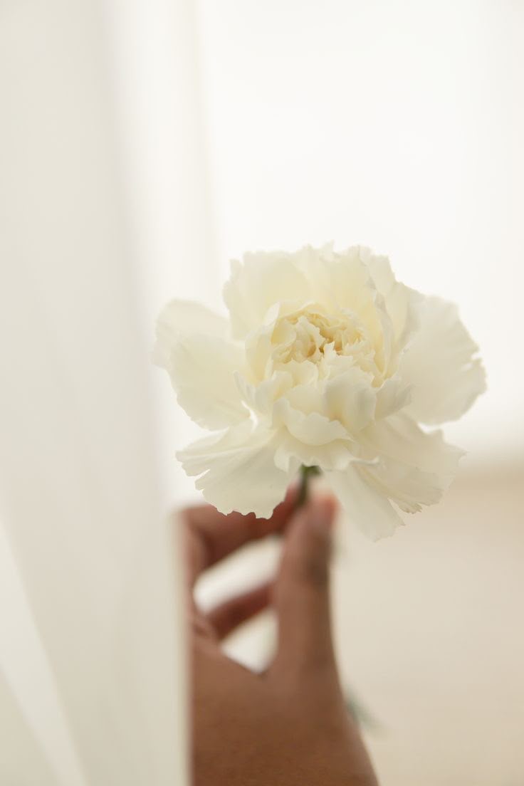 AUGUST 01: Flower Arrangement in a Vase
