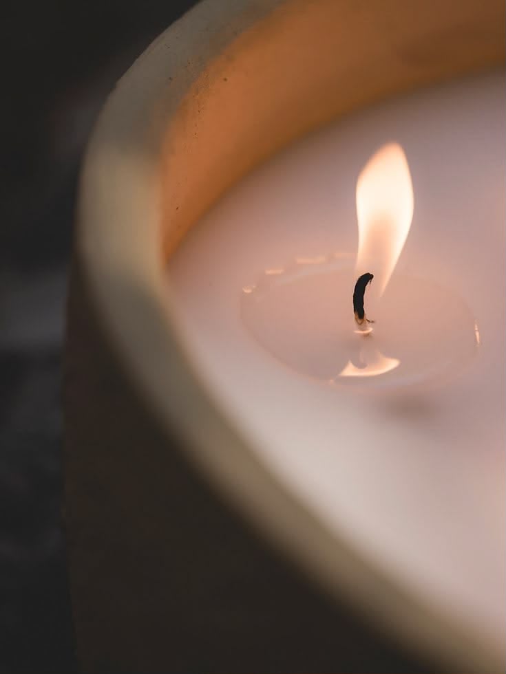 AUGUST 01: Natural Wax Candle Making